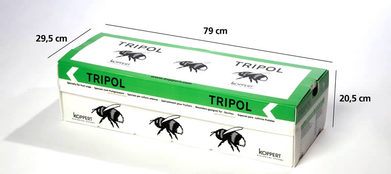 Tripol - 3
